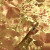 金泊紙金箔ゴビルードエロの壁紙キラゴゴルド3 d立体豪華ベドテレビ背景の壁紙ピンクゴールドルド