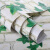 壁紙の壁紙粘着式PVC壁紙テレビ壁ベクレムウ風背景装飾6693ツタ45 cm*10 m(1巻)