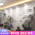 六紋の魚の水墨山水画の新中国式テレビィ背景の壁の壁紙の壁画山水風景大気間に不織布の壁紙